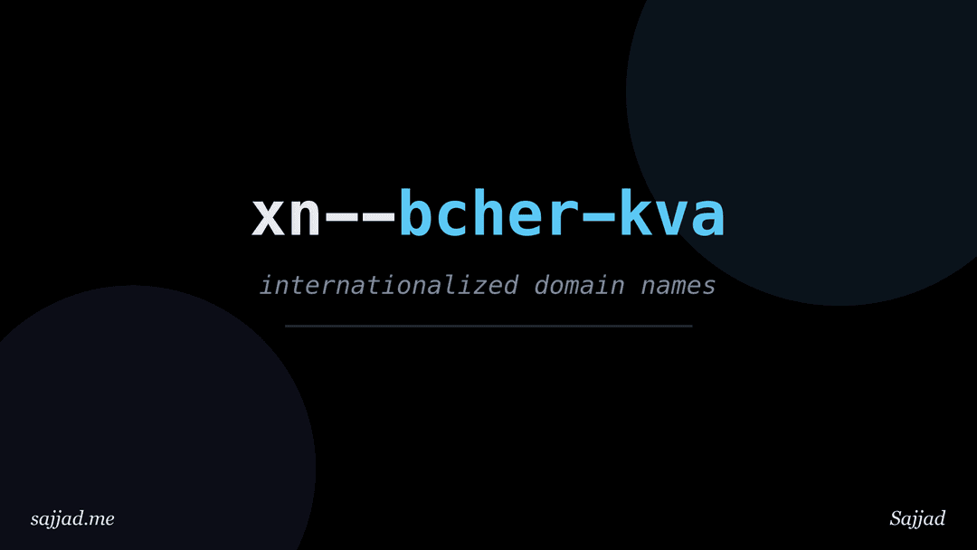 What is an internationalized domain name (IDN)?