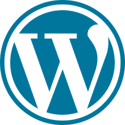 WordPress Customization