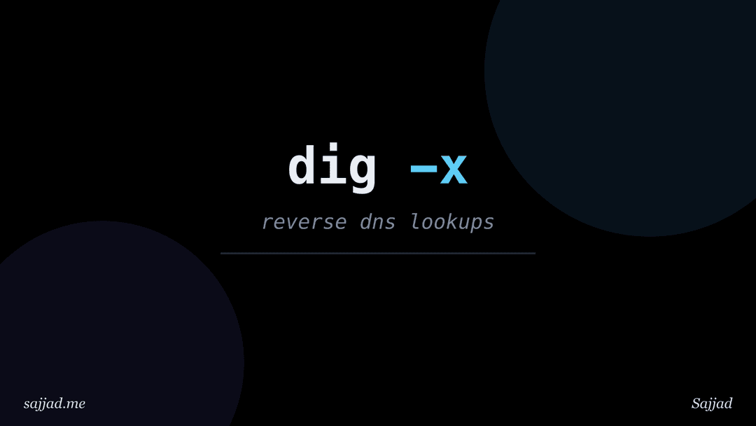 What is a PTR record and how does reverse DNS work?