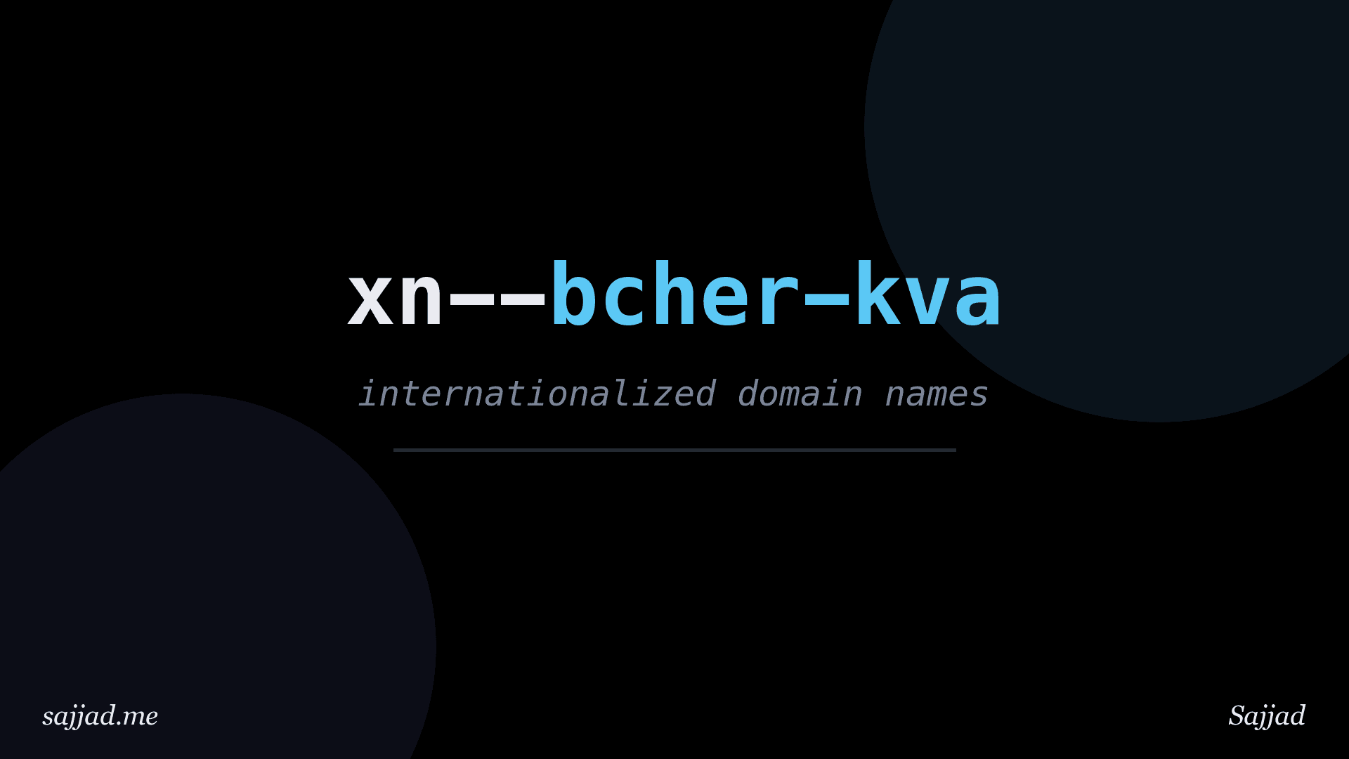 What is an internationalized domain name (IDN)?