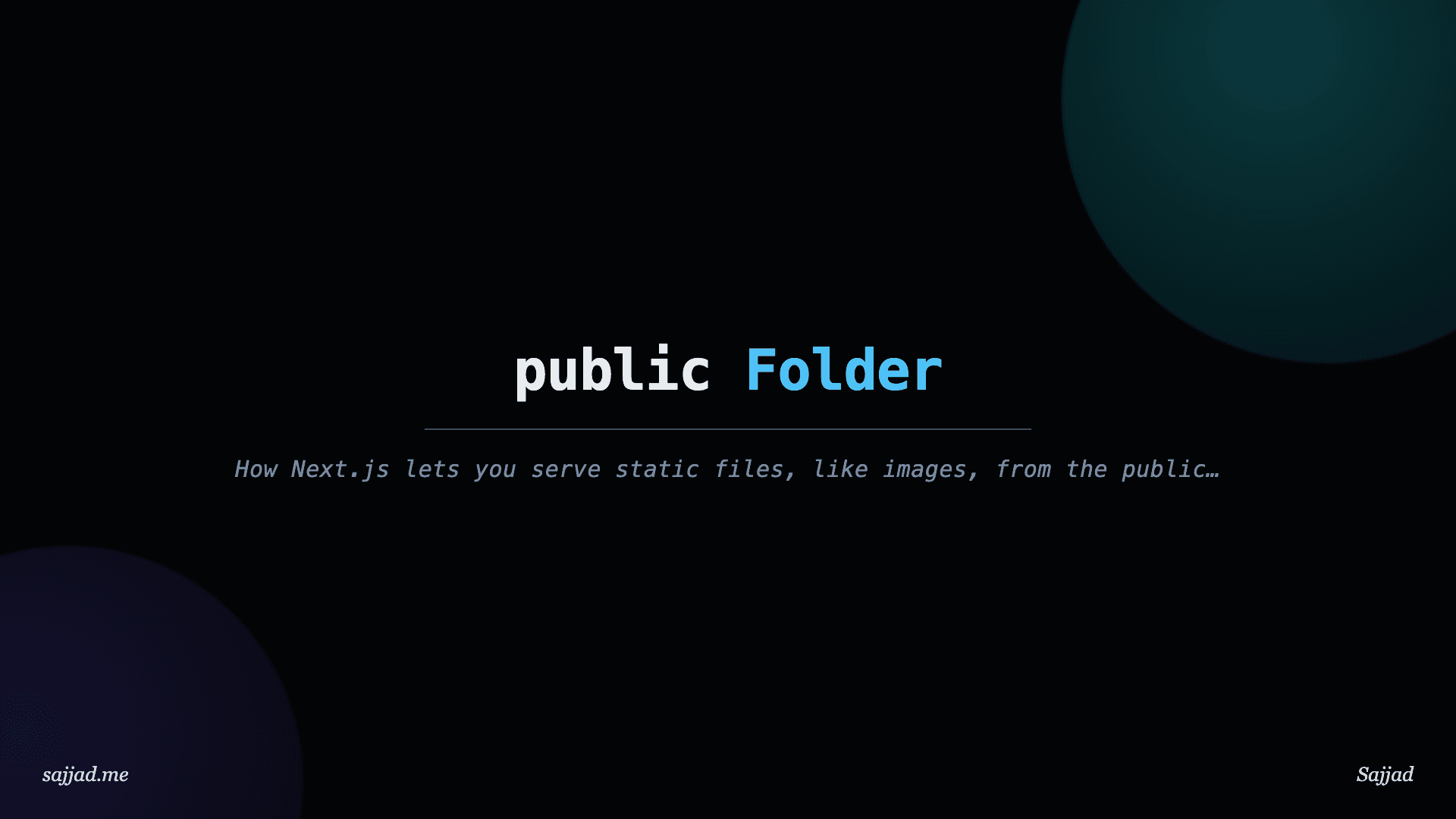 Next.js public Folder